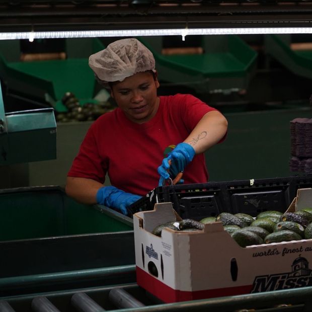 Mujer Trabajando